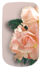 DAROYAL-062 Bouquet Of Roses Peach